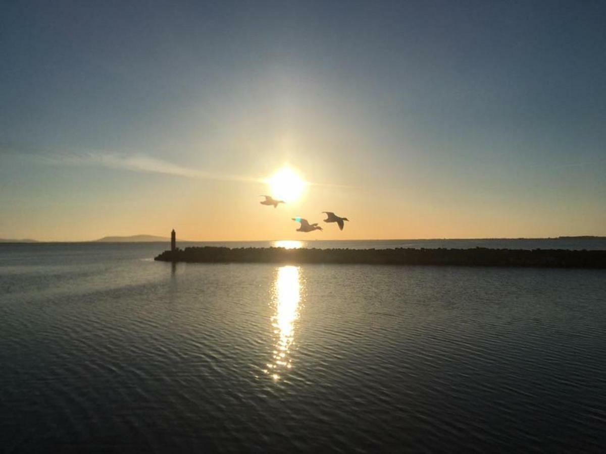 Phare View Daire Marseillan  Dış mekan fotoğraf